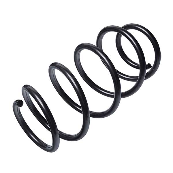 Sachs Coil Spring 627705790