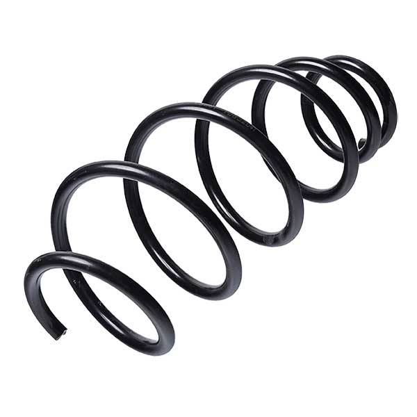 Sachs Coil Spring 627723310