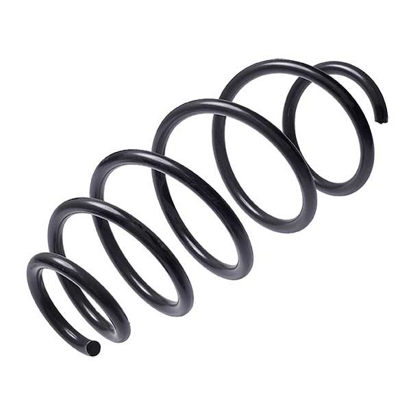 Sachs Coil Spring 627723420