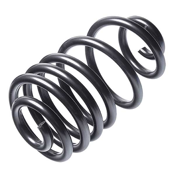 Sachs Coil Spring 627724010