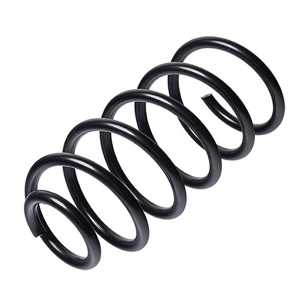 Sachs Coil Spring 627724150