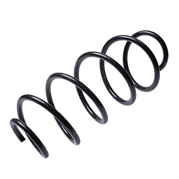 Sachs Coil Spring 627737130