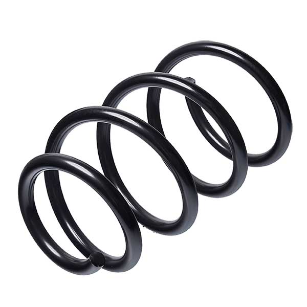 Sachs Coil Spring 627740800