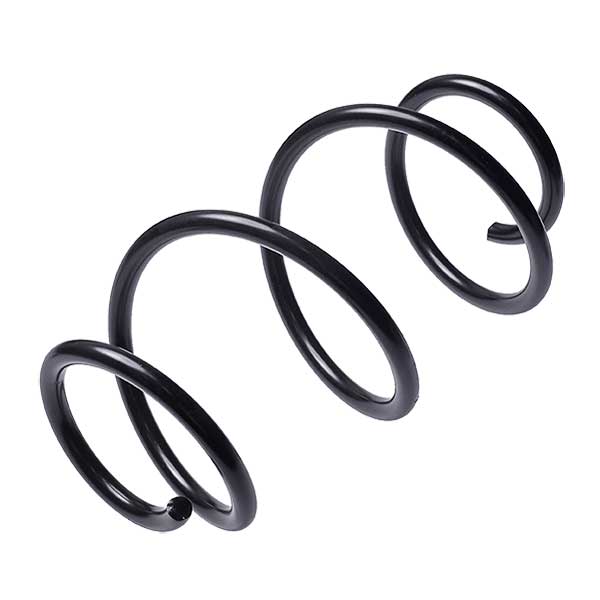 Sachs Coil Spring 627746320