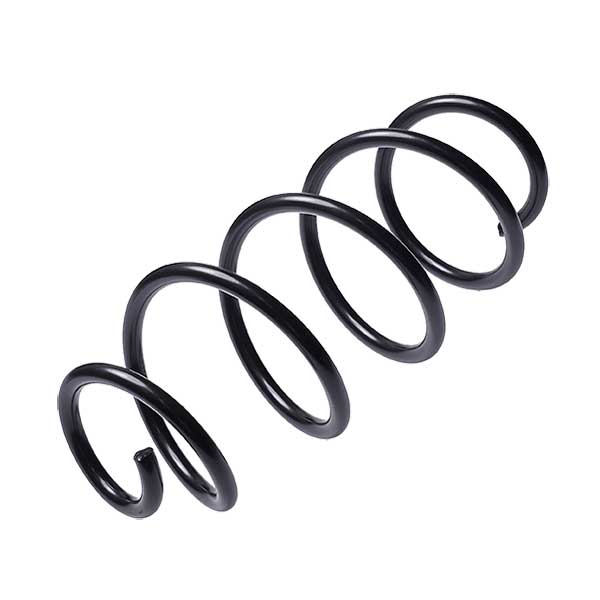Sachs Coil Spring 627780820