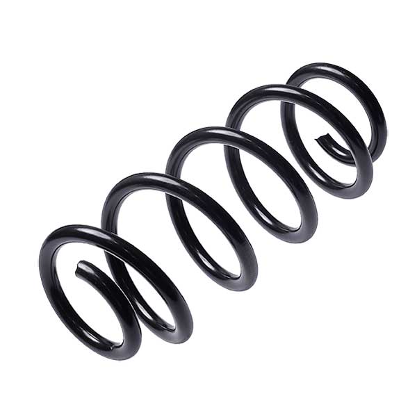 Sachs Coil Spring 627790620