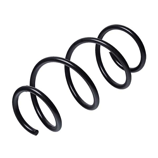 Sachs Coil Spring 627810640