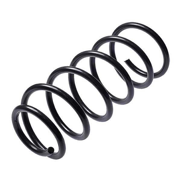 Sachs Coil Spring 627851060