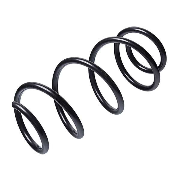 Sachs Coil Spring 627851080