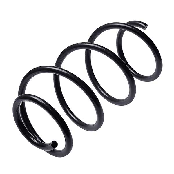 Sachs Coil Spring 627851210