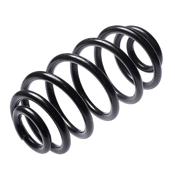 Sachs Coil Spring 627880690