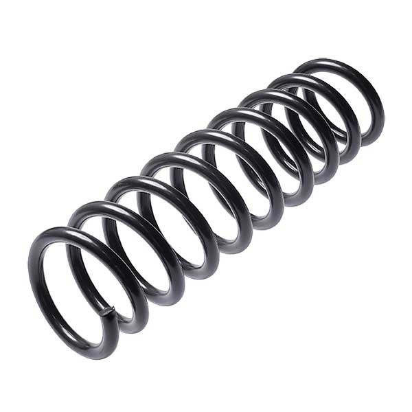 Sachs Coil Spring 627900720