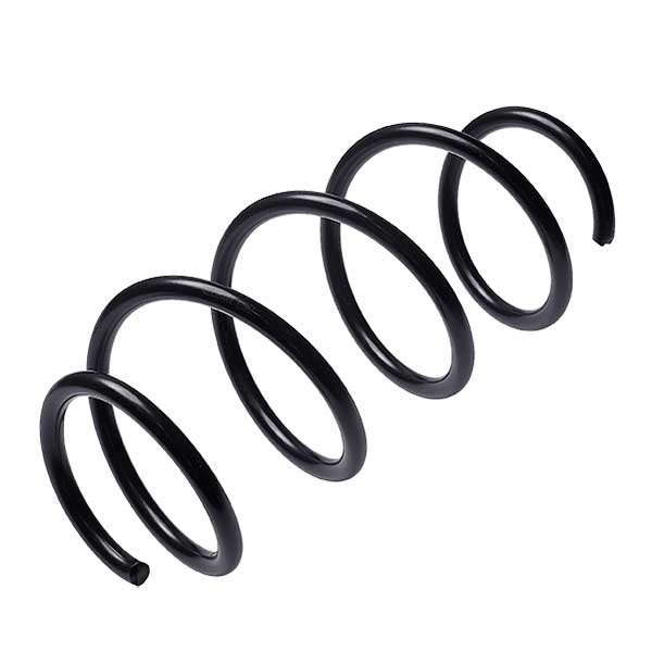 Sachs Coil Spring 627900830