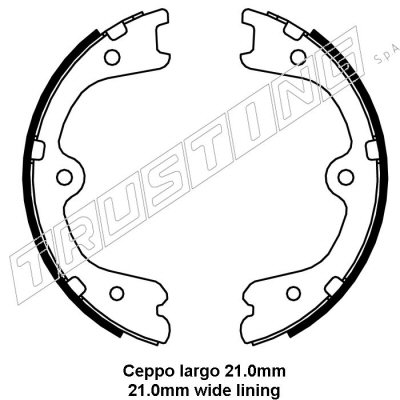 Pagid Handbrake Shoes 103700038