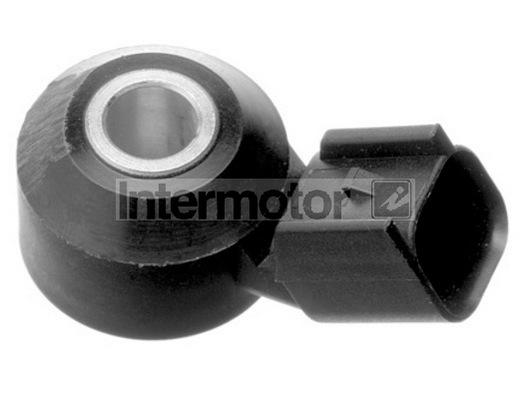 Intermotor Engine Sensor 419590290