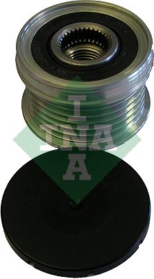 INA Alternator Pulley 425440220