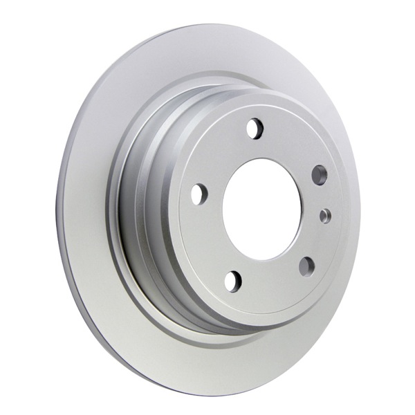 Pagid Brake Discs 104110348