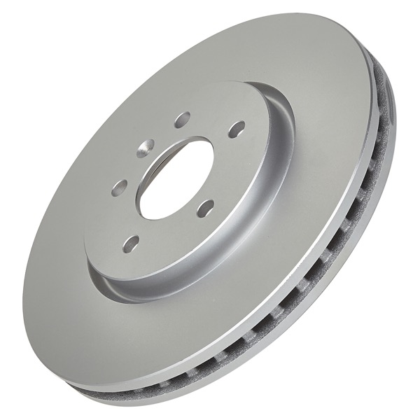 Pagid Brake Discs 104720528