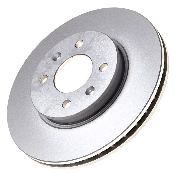 Pagid Brake Discs 104900498