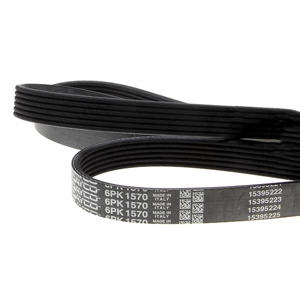 Dayco Drive Belt 202110115