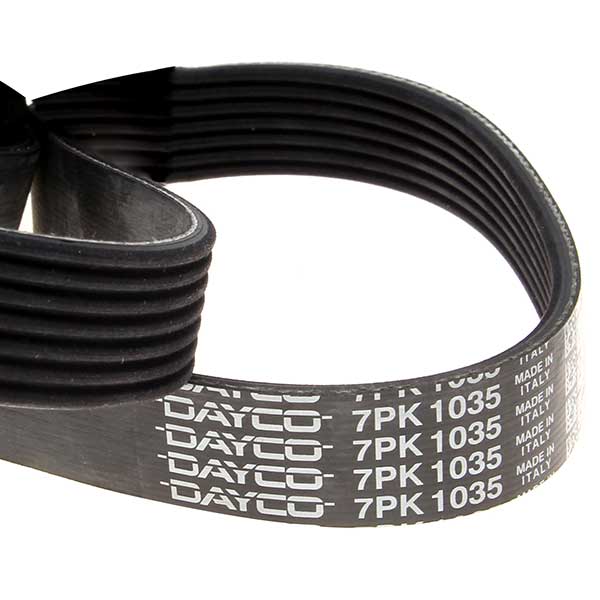 Contitech Drive Belt 202110265