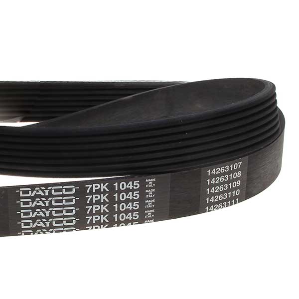 Dayco Drive Belt 202110405