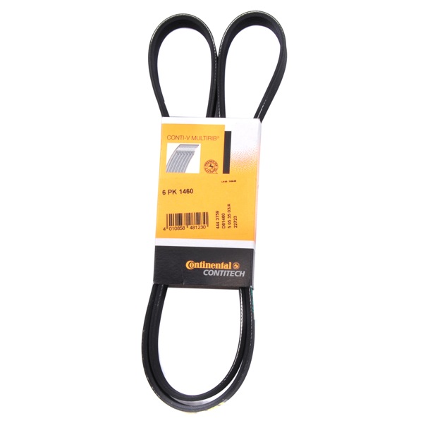 Contitech Drive Belt 202110685