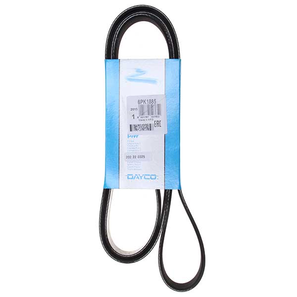Contitech Drive Belt 202220325