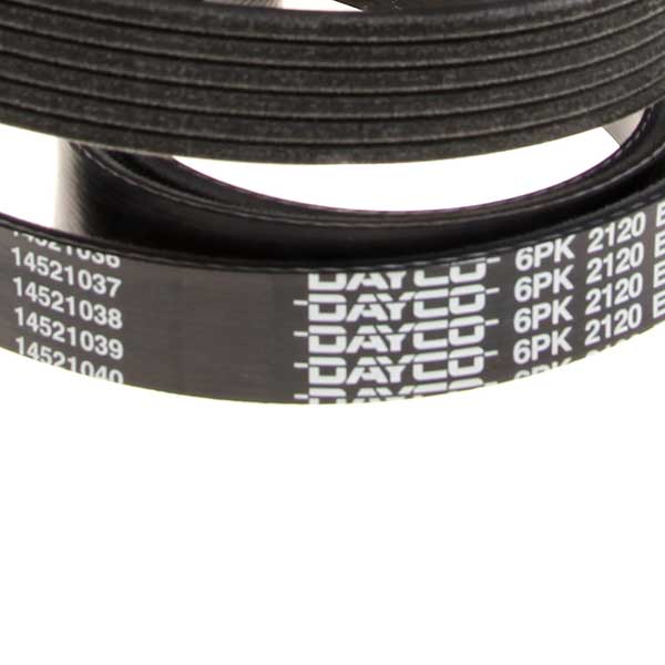 Contitech Drive Belt 202220385