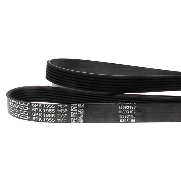 Contitech Drive Belt 202220755