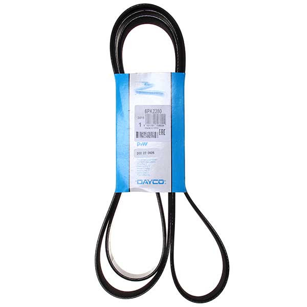 Contitech Drive Belt 202220925