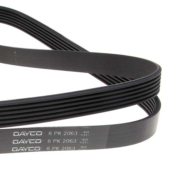 Contitech Drive Belt 202220935