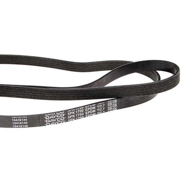 Contitech Drive Belt 202220955