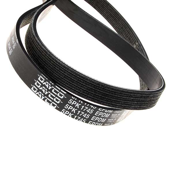 Contitech Drive Belt 202221540