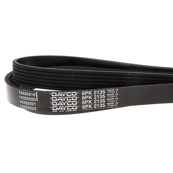 Contitech Drive Belt 202221550