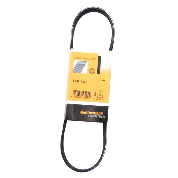 Contitech Drive Belt 202330035