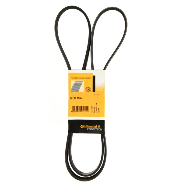 Contitech Drive Belt 202440345