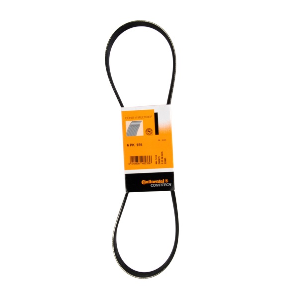 Contitech Drive Belt 202440515
