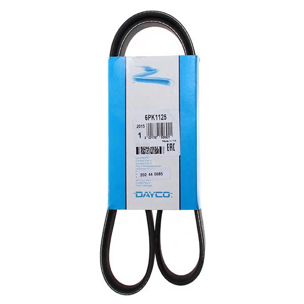 Contitech Drive Belt 202440585