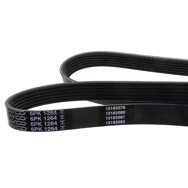 Contitech Drive Belt 202440755