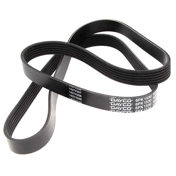 Dayco Drive Belt 202440855