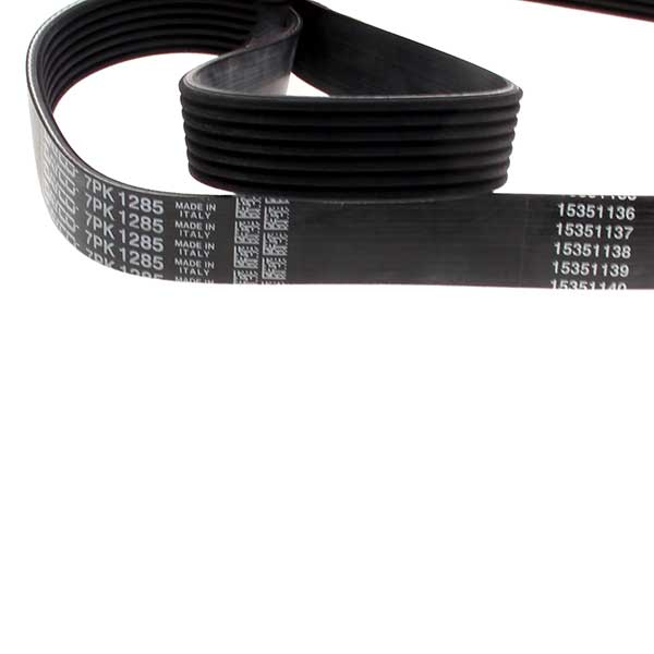 Dayco Drive Belt 202440915 Dayco Drive Belt 202440915