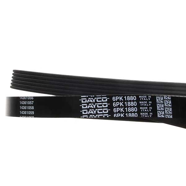 Dayco Drive Belt 202441085