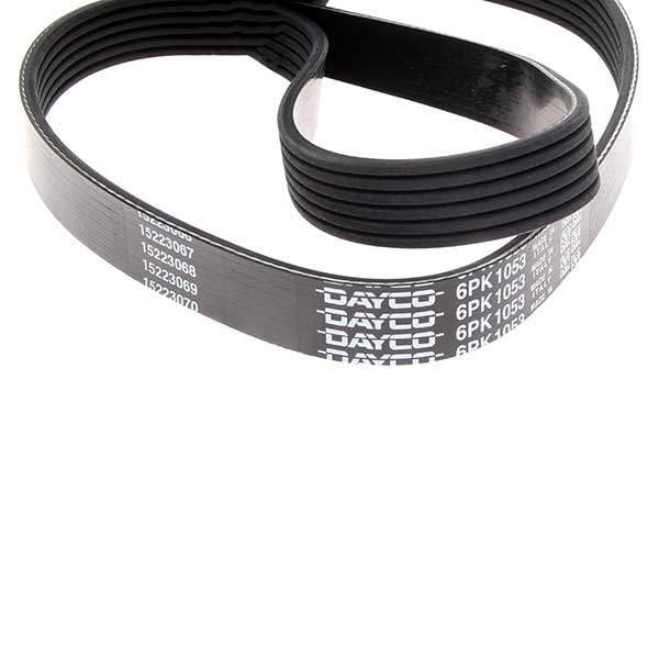 Contitech Drive Belt 202441255