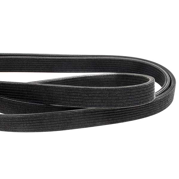 Dayco Drive Belt 202441275
