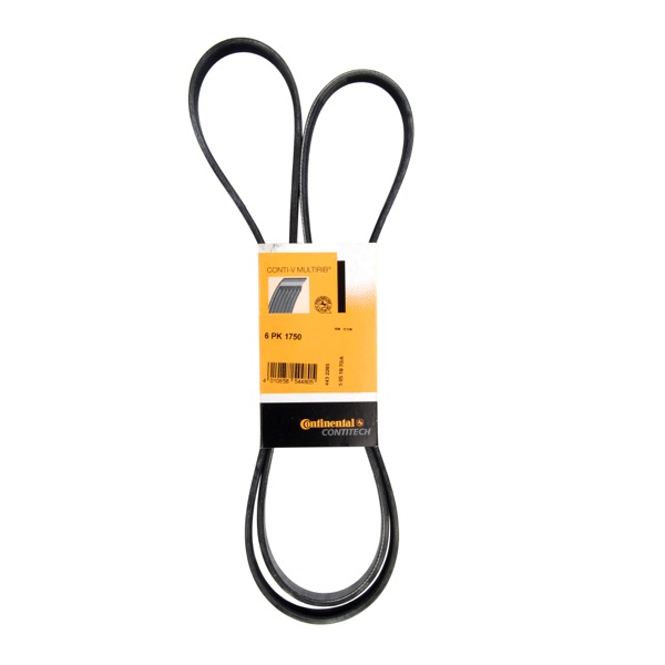 Contitech Drive Belt 202441525