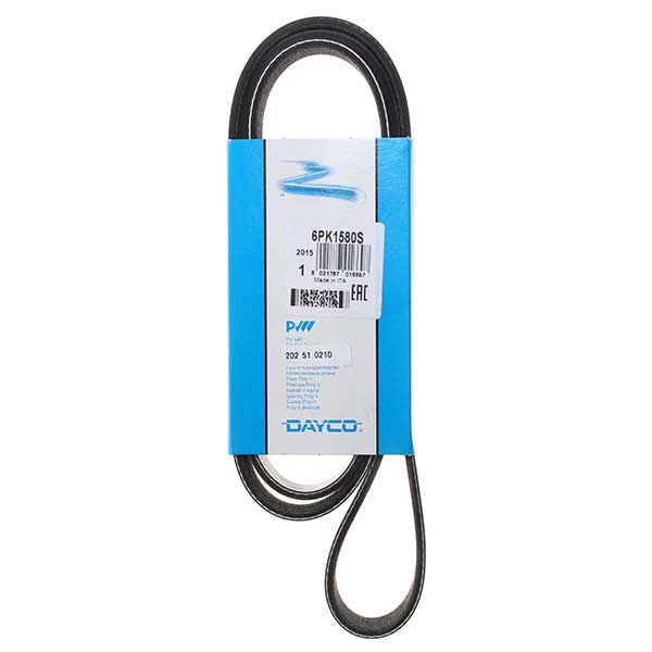 Contitech Drive Belt 202510210