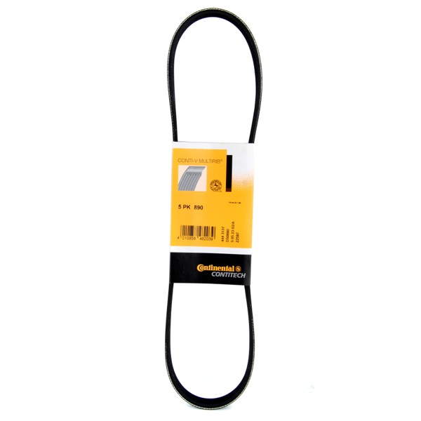 Contitech Drive Belt 202545025