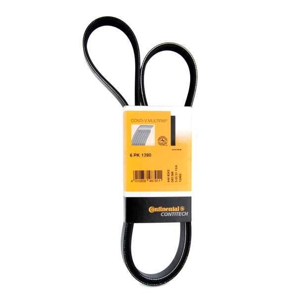 Contitech Drive Belt 202545055