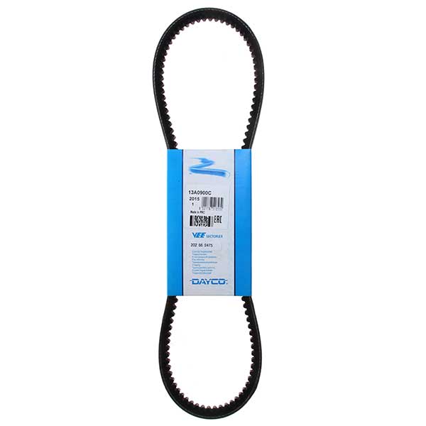 Contitech Drive Belt 202660475